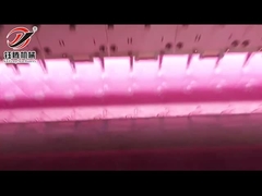 High Speed Computerized Multi-Needle Quilting Embroidery Machine (YTX2-34F) voor het borduurwerk van dekbedden met meerdere naalden